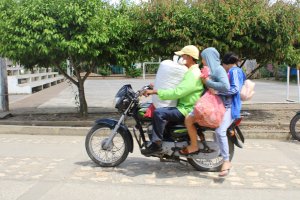 IMG_0554